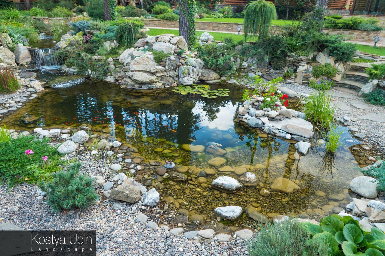 Дизайн декоративного пруда с карпами Дизайн декоративного пруда с карпами