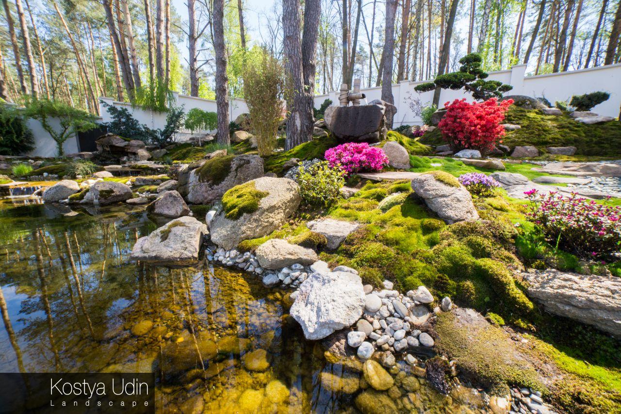 Японский сад Японский сад