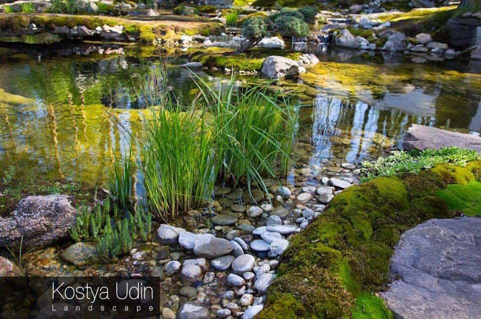 Зона мелководья Зона мелководья