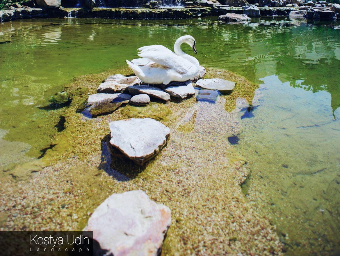 Декоративное озеро для отеля Декоративное озеро для отеля