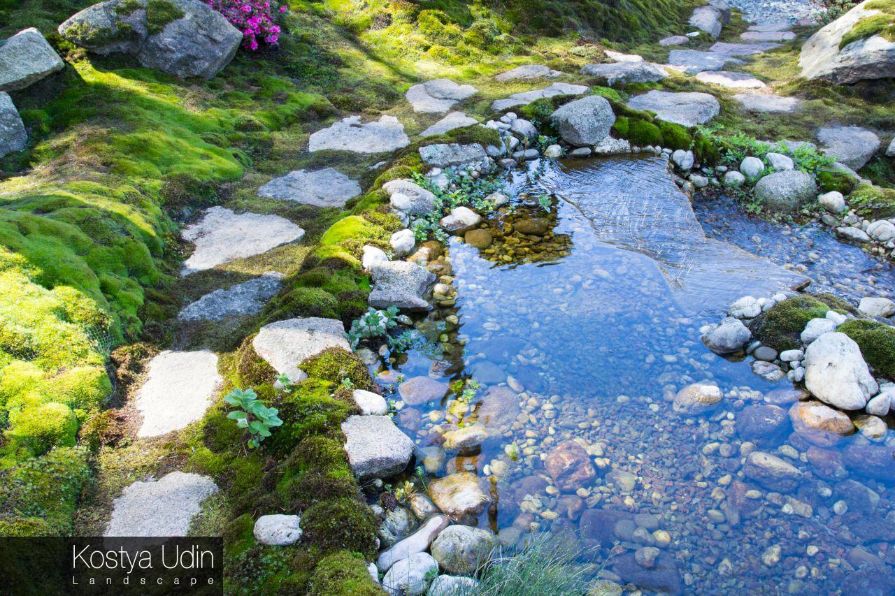 Зона мелководья с дорожками Зона мелководья с дорожками