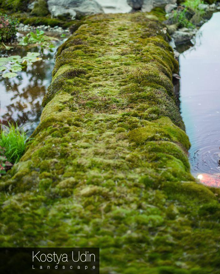 Дорожка через озеро Дорожка через озеро