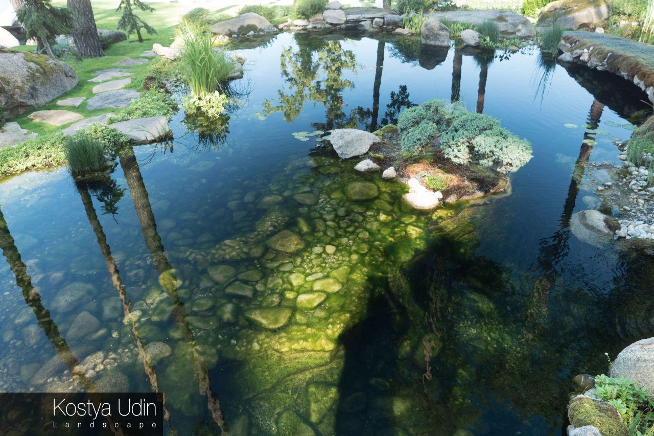 Мелководная дорожка покрыта мхом Мелководная дорожка покрыта мхом