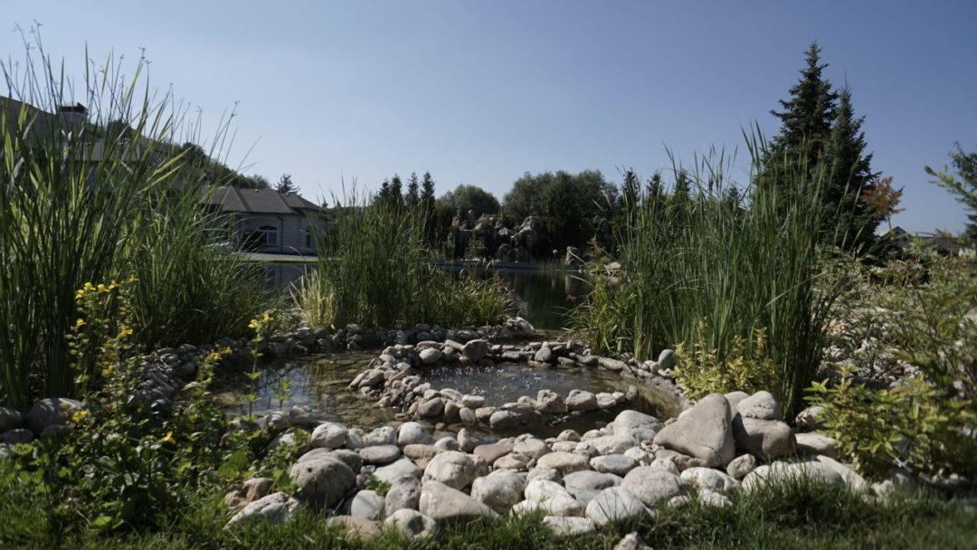 Скиммер для био очистки