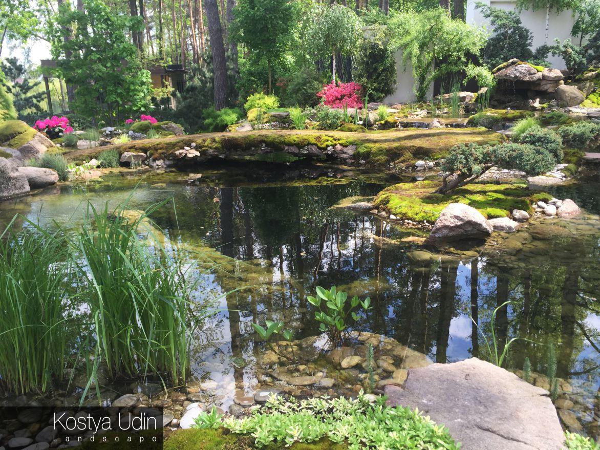 Декоративный пруд в японском саду Декоративный пруд в японском саду