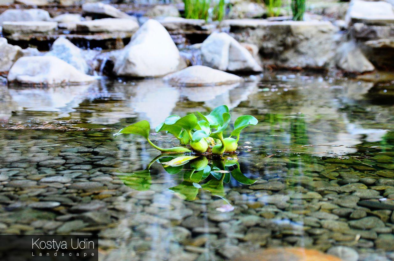 Декоративный пруд для сада Декоративный пруд для сада