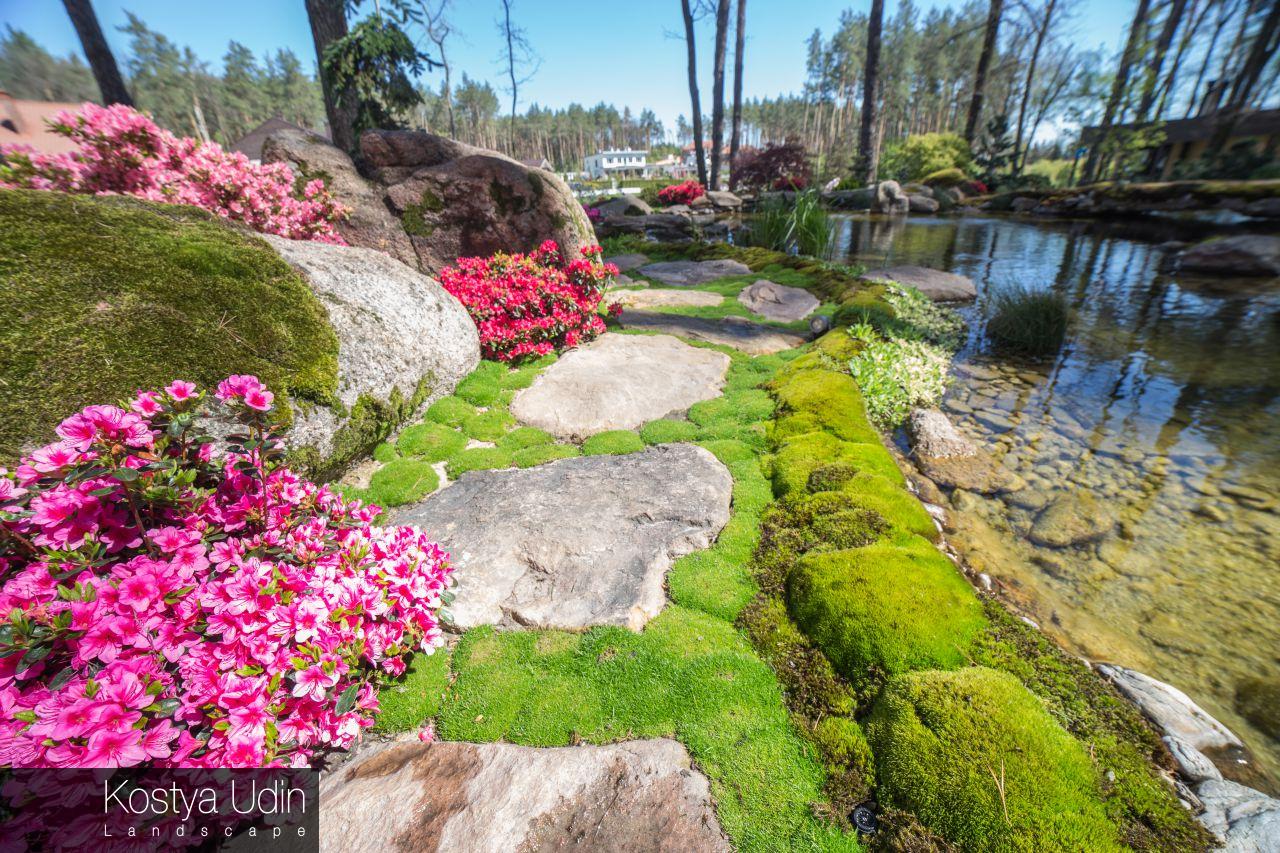 Дорожка из камня Дорожка из камня