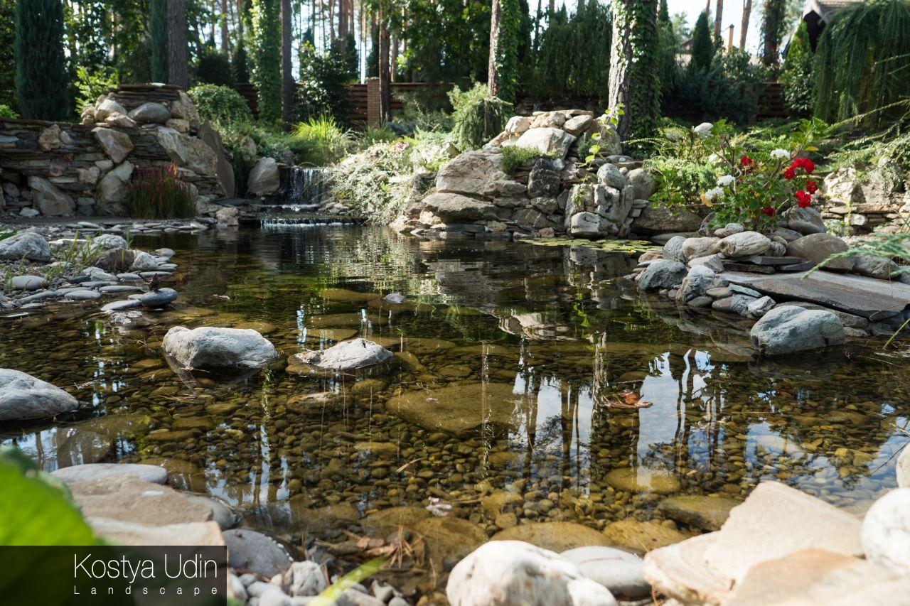 Декоративный пруд с мелководьем Декоративный пруд с мелководьем