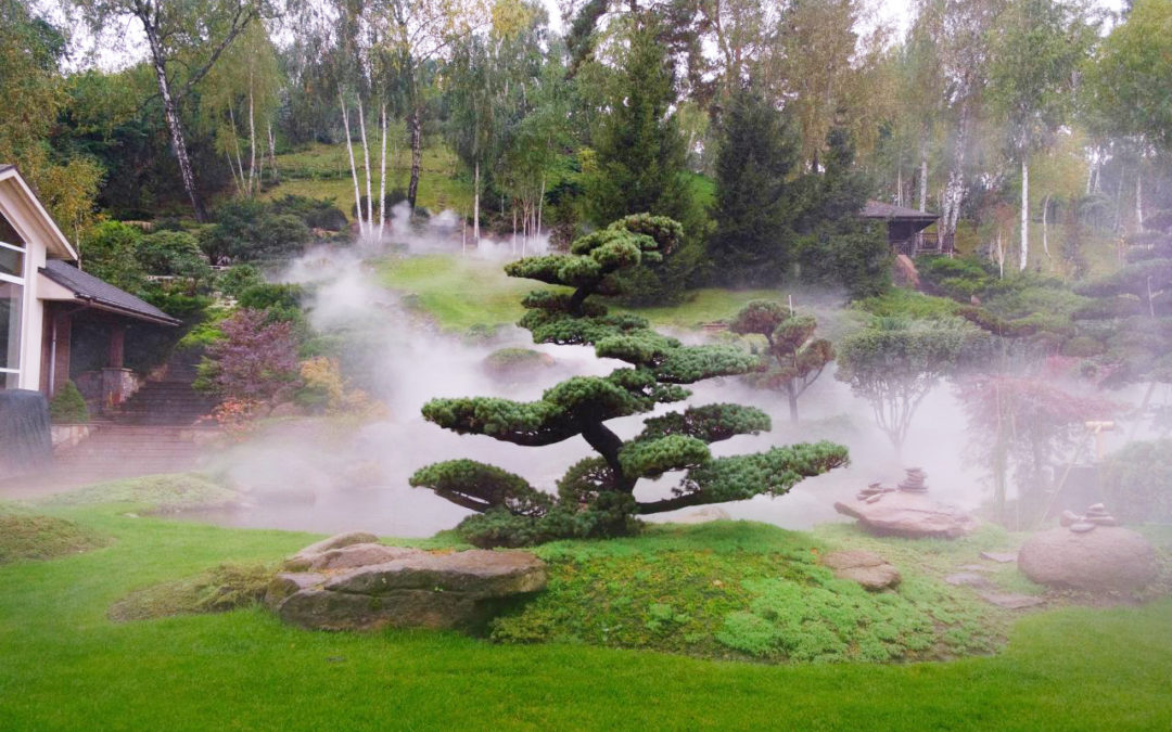 холмы для японского сада