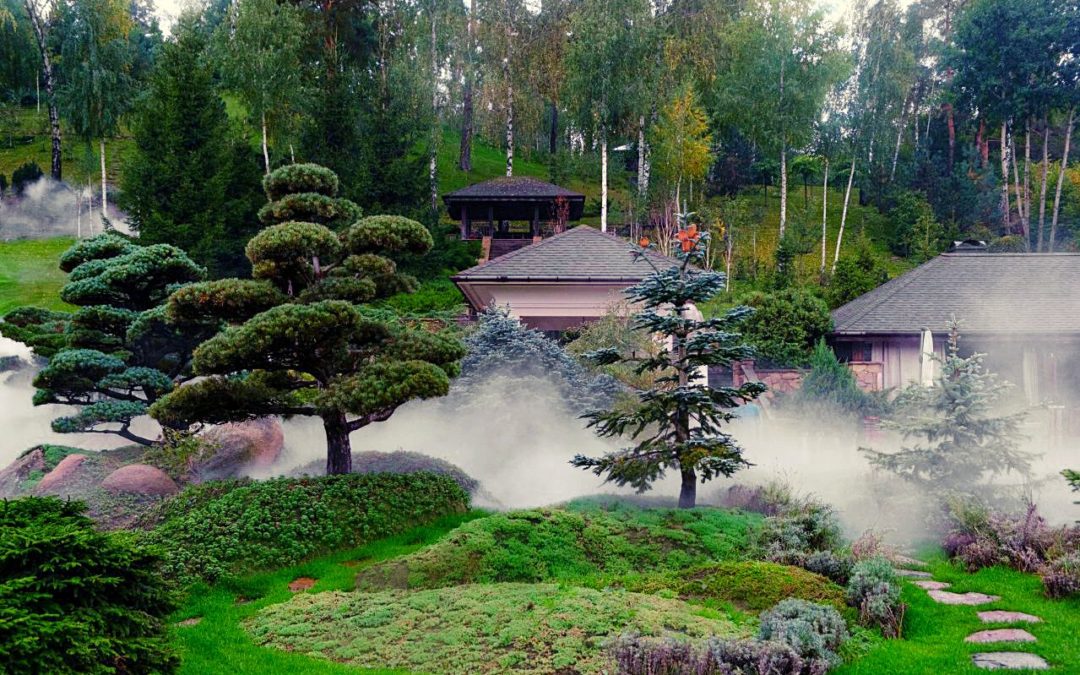 Ниваки в ландшафте